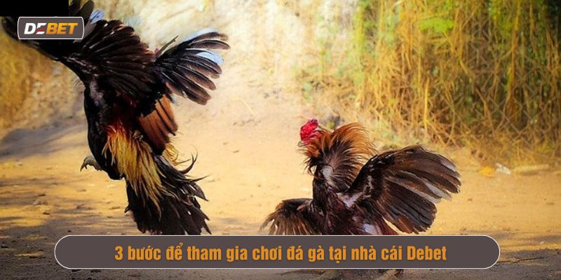 cách chơi đá gà