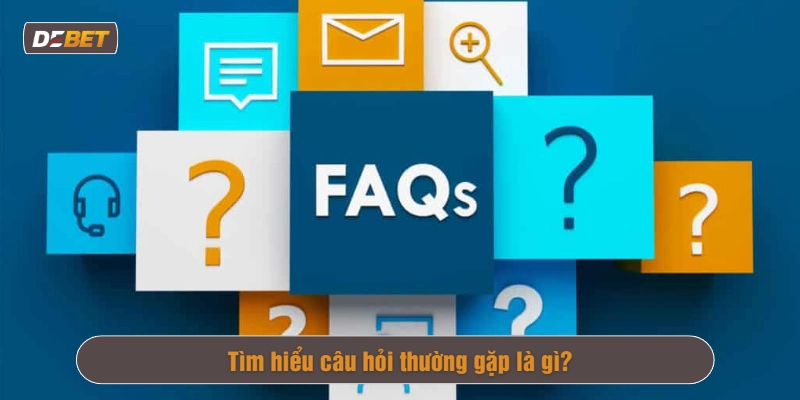 Câu hỏi thường gặp