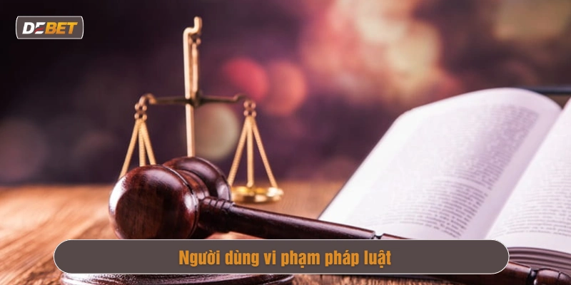 Miễn trách nhiệm Debet
